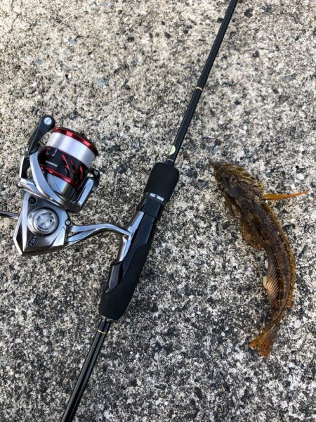 ショアジギング