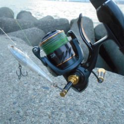 増水中の淀川調査