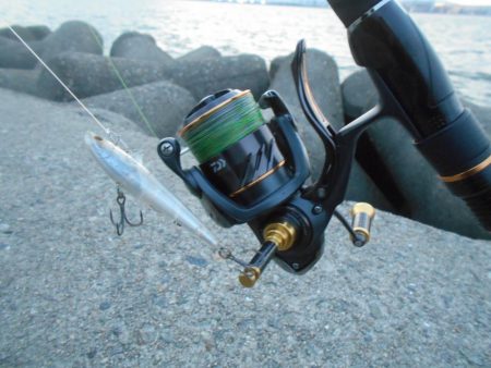 増水中の淀川調査