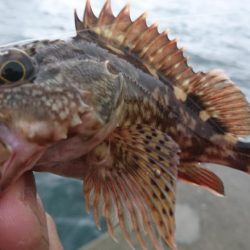 雨の中ワームのテスト