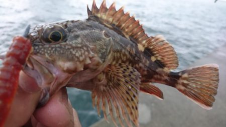 雨の中ワームのテスト
