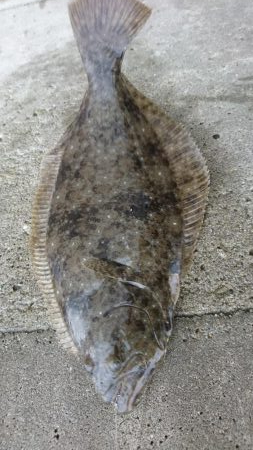 テキサスリグで沖のボトム狙い！！