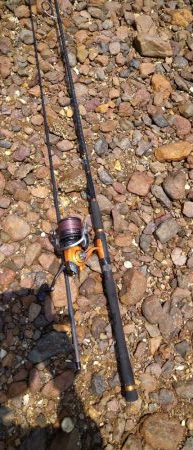 シーバス&キス釣り