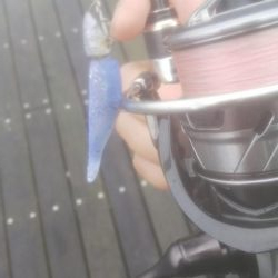 ガシラ30 小サバ10