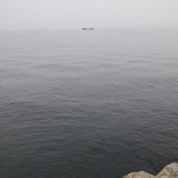 小サバしかいてない