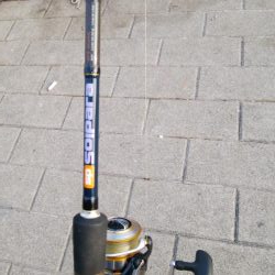 青物不発、小サバは湧いてる