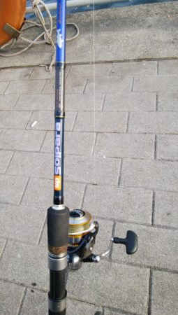 青物不発、小サバは湧いてる