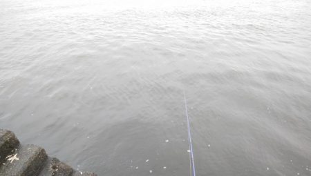 やっぱりサバ多いな！！