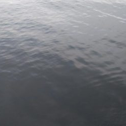 サバ、さば、鯖、SABAのちツバス