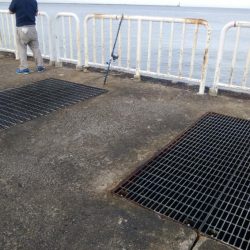 今日はツバスからサバの永遠ループ