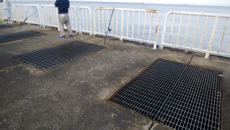 今日はツバスからサバの永遠ループ