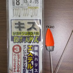 シロギスちょい投げ