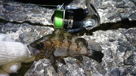 そろそろ厳しいか