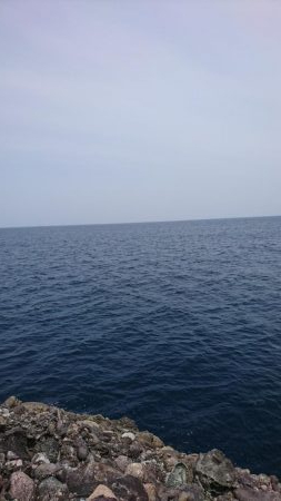 ロックフィッシュ