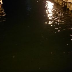 オクトパッシング！