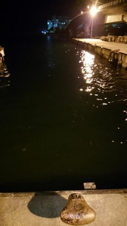 オクトパッシング！