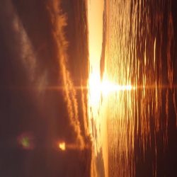 今シーズン最初のイカメタル