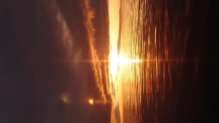 今シーズン最初のイカメタル