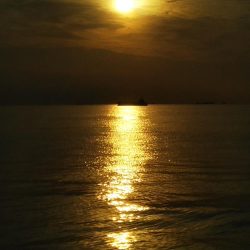 朝から気分爽快！