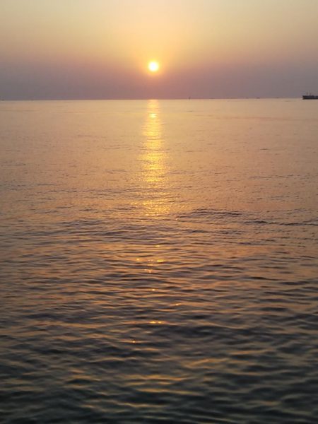 朝マズメ――タチウオ