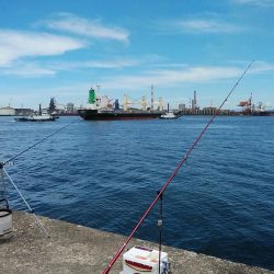 播磨新島へキス釣行