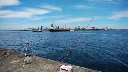 播磨新島へキス釣行