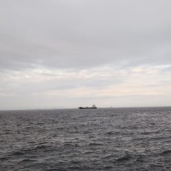 スーパーライトも楽しいかも……