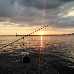 16時から僅かなアタリを楽しみました