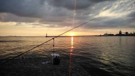 16時から僅かなアタリを楽しみました