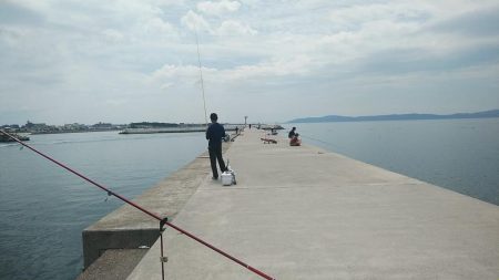 朝の潮時を狙いましたが(・・?