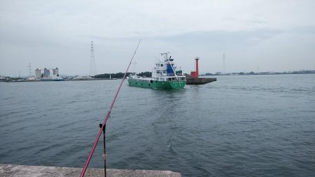 高砂港へキス調査Ⅱ