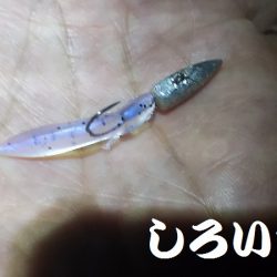 メバリングに挑戦！