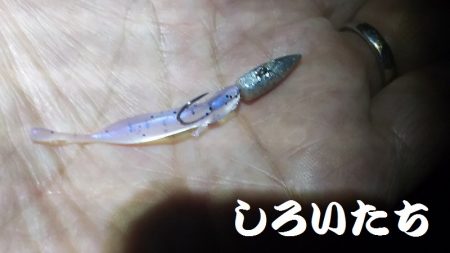 メバリングに挑戦！