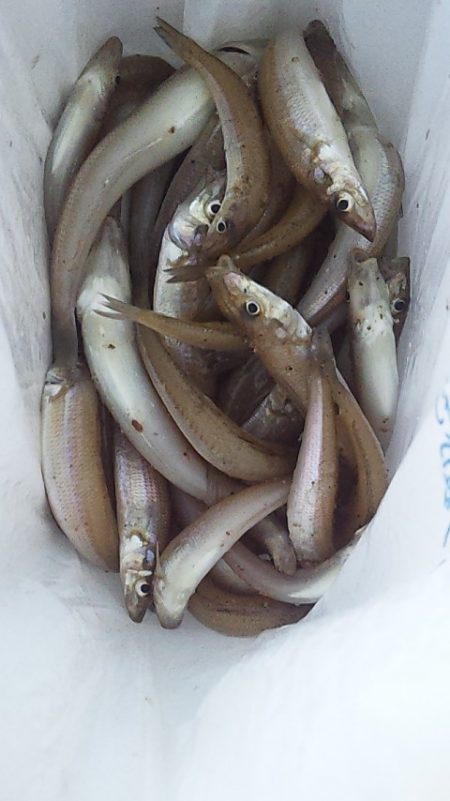 群れてはいるけど・・・