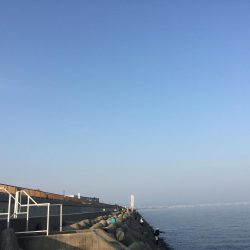 無ハマチ無限サバ