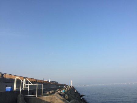 無ハマチ無限サバ