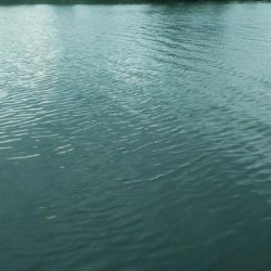 初スモールマウス!