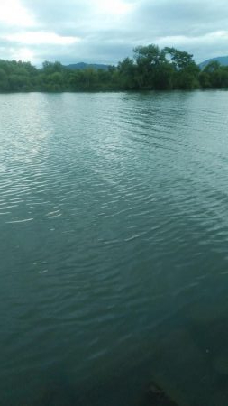 初スモールマウス!