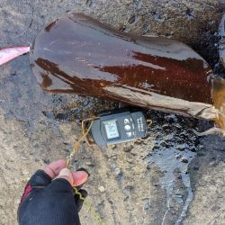 今季の記録更新