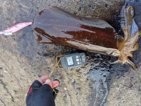 今季の記録更新