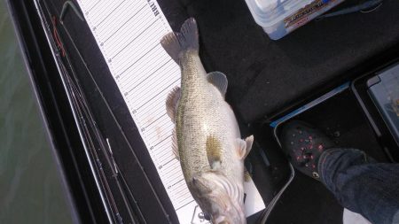 ポストスポーン絶好調