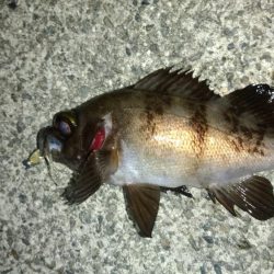 自粛解除を受けて