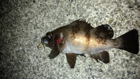 自粛解除を受けて