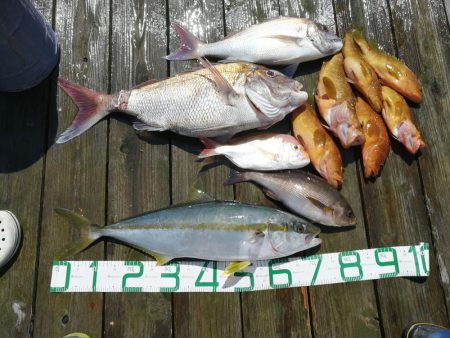 マイボート釣行！！近海でSLJ タイラバ！！