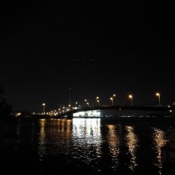 (2020/06/21 南港ヘチ釣り キビレチヌ46cm 頭、ガシラ 釣果有り)