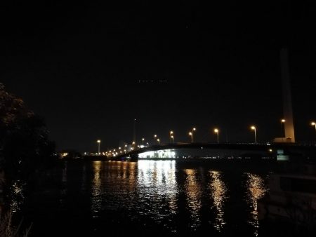 (2020/06/21 南港ヘチ釣り キビレチヌ46cm 頭、ガシラ 釣果有り)