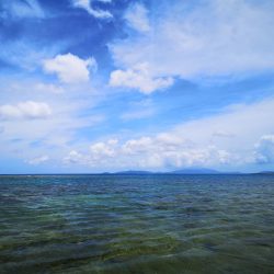 インリーフでなかなかの好調