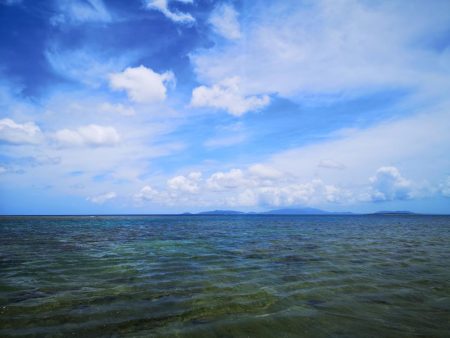 インリーフでなかなかの好調