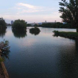 スモールマウスバスプチラシュ