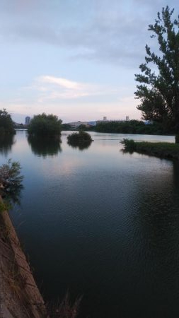 スモールマウスバスプチラシュ